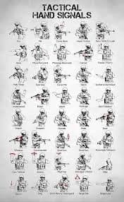 Hands, neural intent